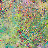ARCHIPELAGO