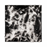 NEBULA II
